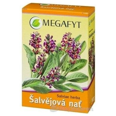 Megafyt Bylinková lékárna Šalvěj nať 30 g