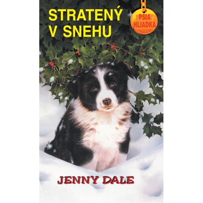 Stratený v snehu - Jenny Dale
