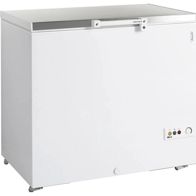Tefcold FR 305 S SL