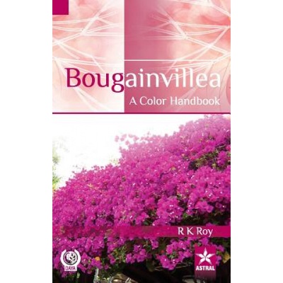 Bougainvillea | R. K. Roy