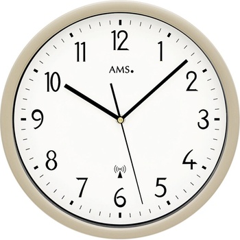 AMS 5576LG