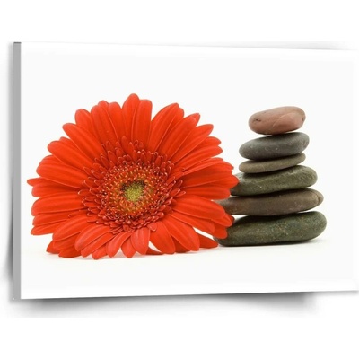 Sablio Obraz Gerbera s kameny - 150x110 cm