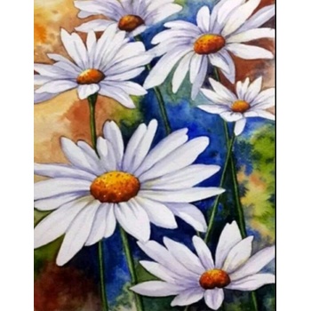 Image 1 of Маргаритки 24/34 см