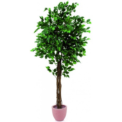 Umělý strom Fíkus Benjamin, 180cm