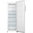 Gorenje FN617EEW5