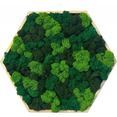 Mechový obraz - Hexagon - mix Velikost rámu: 31cm (v nejširším bodě)