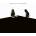 Royal Blood - How Did We Get So Dark ? (CD) (0190295831172)