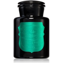 Paddywax Apothecary Noir Tabac & Pine 226 g