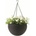 Keter Hanging Sphere Planter (229544/229545/230502)