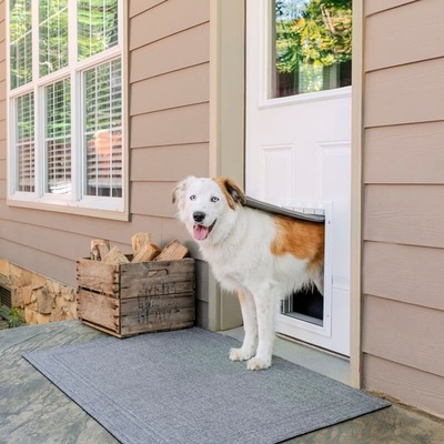 PetSafe Extreme Weather Door L šedá 34,1 x 50,8 x 8,3 cm