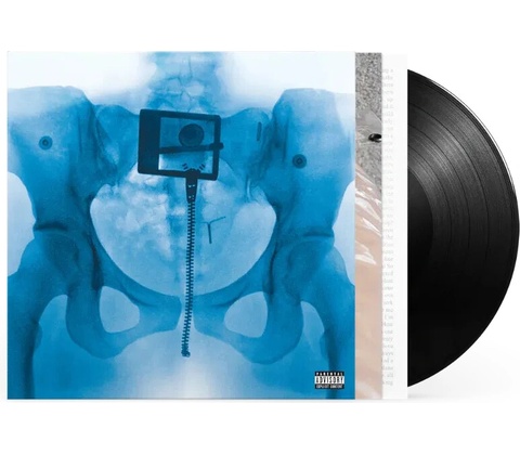 Lorde - Virgin / Vinyl LP