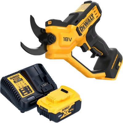 DeWALT DCMPP568P1 – Zboží Dáma