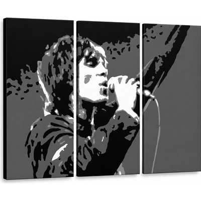 Ručne maľovaný POP Art obraz Ian Brown - 90x60 cm