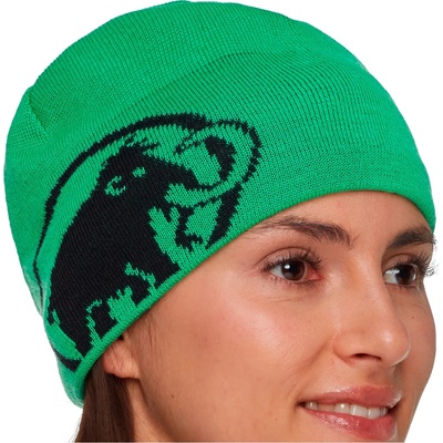 Mammut Зимна шапка (beanie) Mammut Tweak Beanie - Pinea / Black - размер One Size (204-1773-3011)