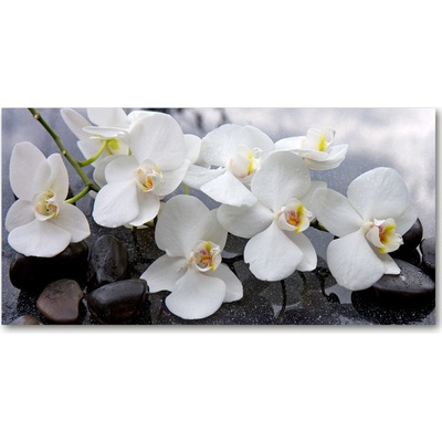 Foto obraz sklenený horizontálny orchidea 100x50 cm