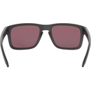 Image 1 of Oakley Holbrook PRIZM Daily Polarized OO9102-B5