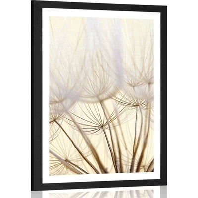 Plakát s paspartou pampelišková semena - 40x60 no frame