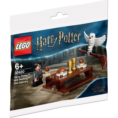 LEGO® Harry Potter™ 30420 Harry Potter™ a Hedviga