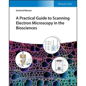 Practical Guide to Scanning Electron Microscopy in the Biosciences | Gerhard Wanner (ISBN: 9783527350490)
