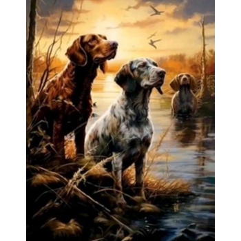Norimpex - Puzzle Diamant painting: Wetlands 30x40cm - 1 - 39 piese