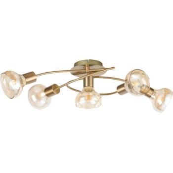 Image 1 of Rábalux Holly 5552