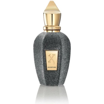 Image 1 of Xerjoff Ouverture EDP 50 ml