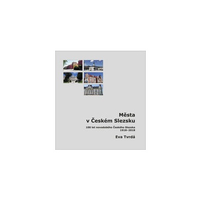 Města v Českém Slezsku