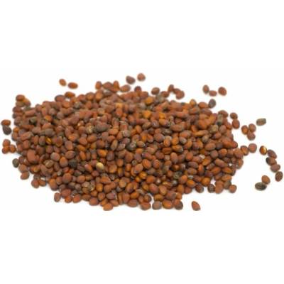 Microgreens Ředkvička Daikon 500 g