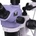 MAGUS Stereo D8TR (84845)