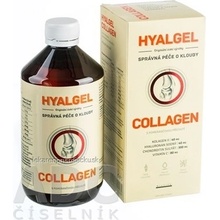 Silvita Hyalgel COLLAGEN 500 ml