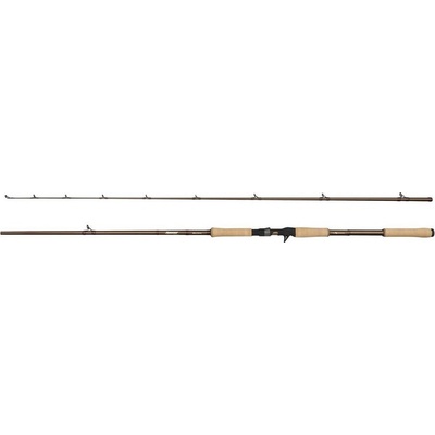 Abu Garcia Beast Pro 2 802 H Casting 2,44 m 30 - 110 g 2 díly