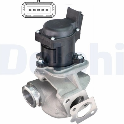 AGR-Ventil DELPHI EG10507-12B1