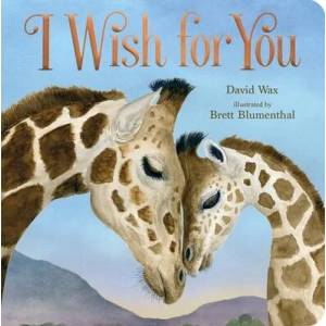 I Wish for You | Brett Blumenthal (ISBN: 9781250293114)