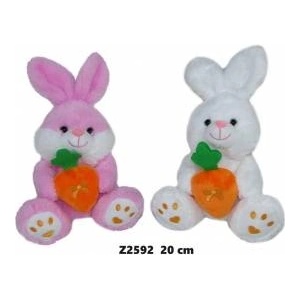 SUN-DAY Hare with carrots