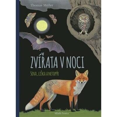 Zvířata v noci