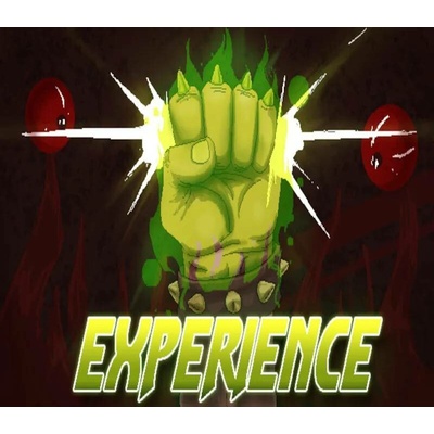 Experience