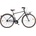 Dino Bikes Sport 28