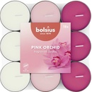 Bolsius Basic Pink Orchid 18 ks