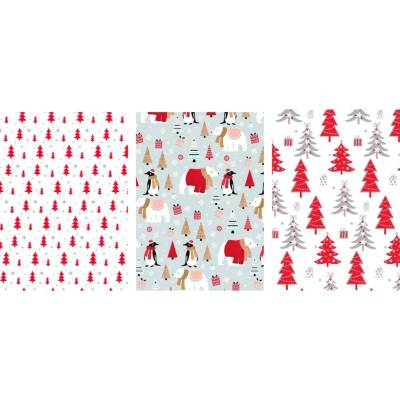 Ditipo Baliaci papier Christmas rôzne druhy 2 m x 70 cm, 1 ks