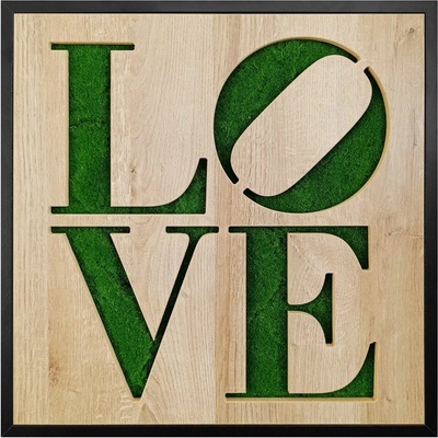 Green Deco Mechový obraz LOVE, 50 × 50 cm OB-23102