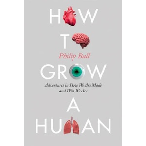 How to Grow a Human: Adventures in How We Are Made and Who We Are | Philip Ball (ISBN: 9780226654805)