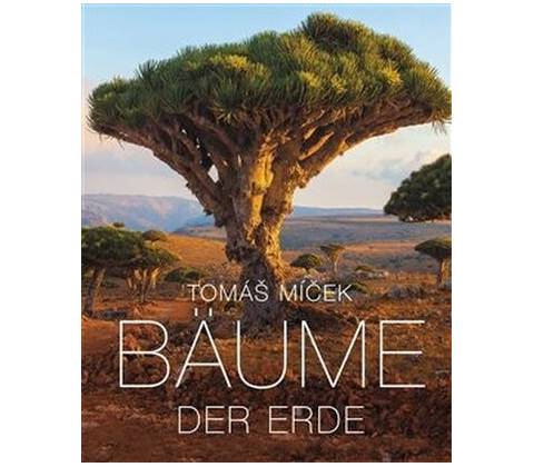Bäume der Erde