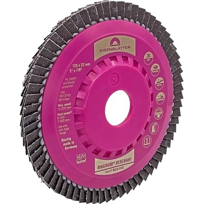 Eisenblaetter Brúsny lamelový kotúč 125 x 22,2 mm 80 E96288