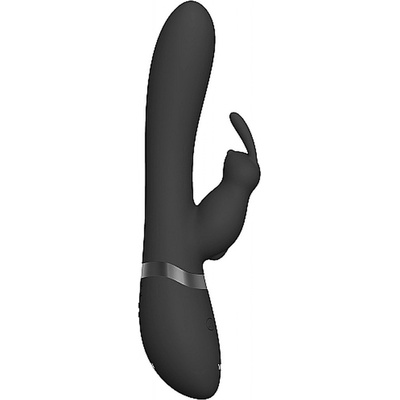 Vive Taka rabbit