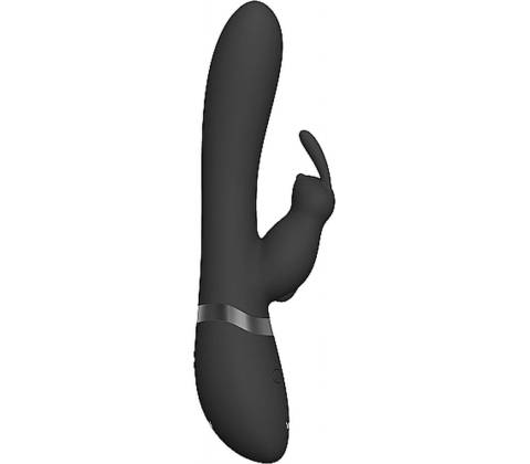 Vive Taka rabbit