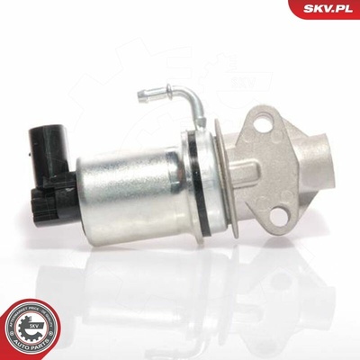 AGR - Ventil ESEN SKV 14SKV018