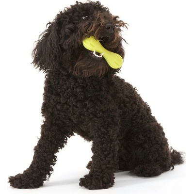 West Paw Zogoflex Hurley L