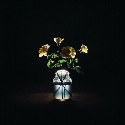 Billy Strings - Renewal (180g) (2 ) LP