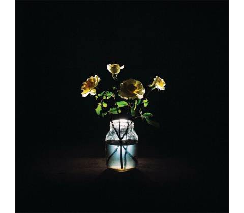 Billy Strings - Renewal (180g) (2 ) LP
