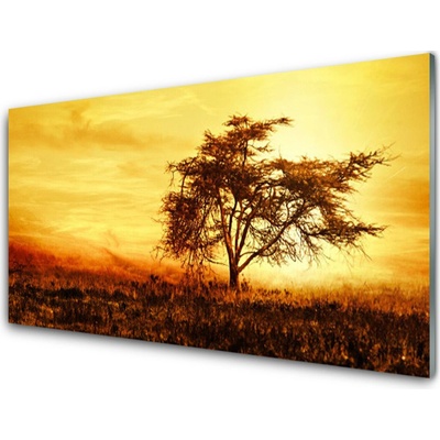 Obraz na skle Strom Příroda 100x50 cm